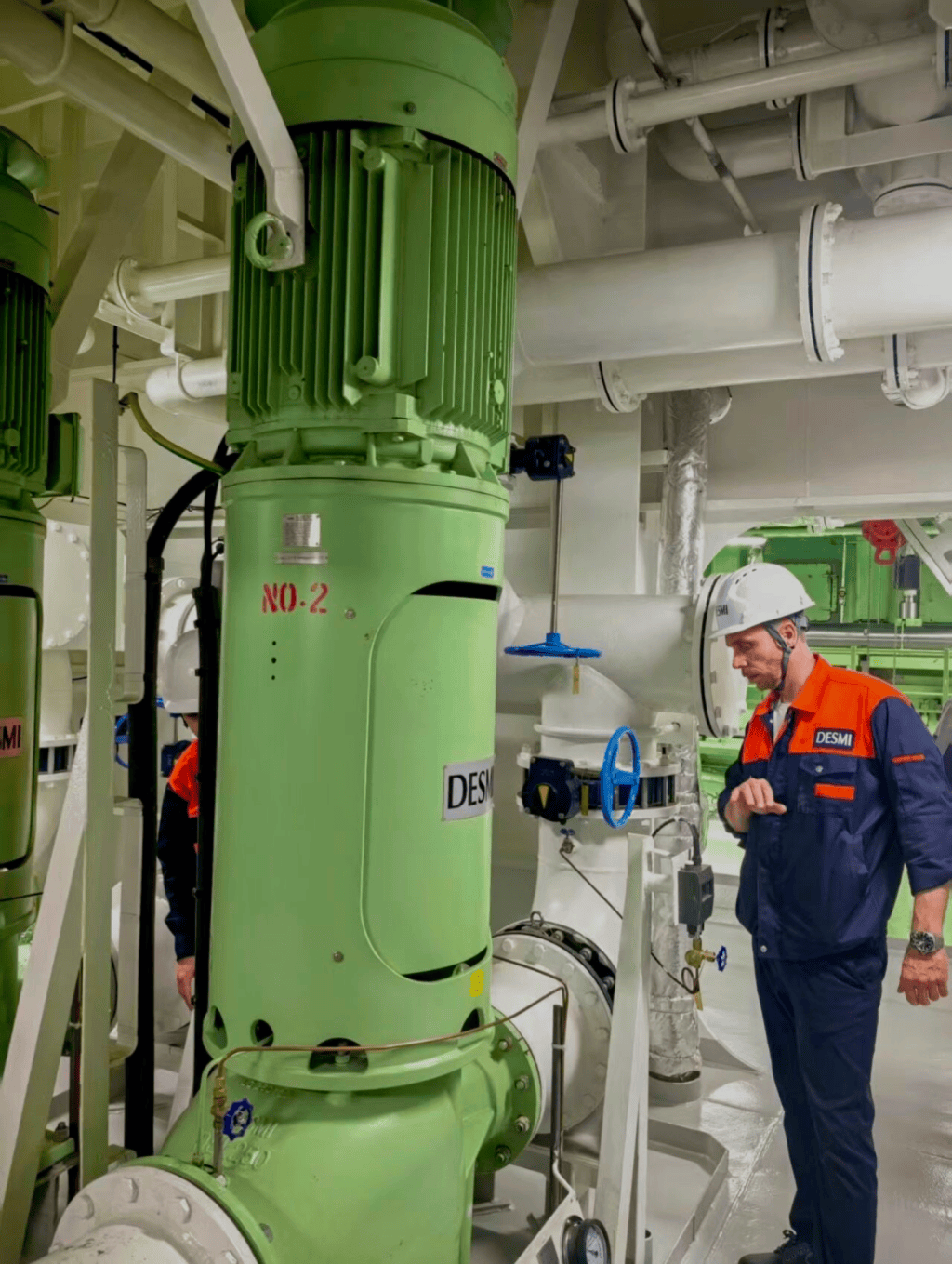 DESMI-Pumpe im Maschinenraum mit Servicetechniker